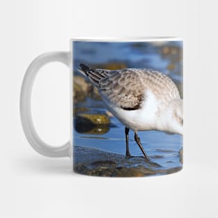 Cute Sanderling Foraging at Low Tide on a Wintry Beach Mug